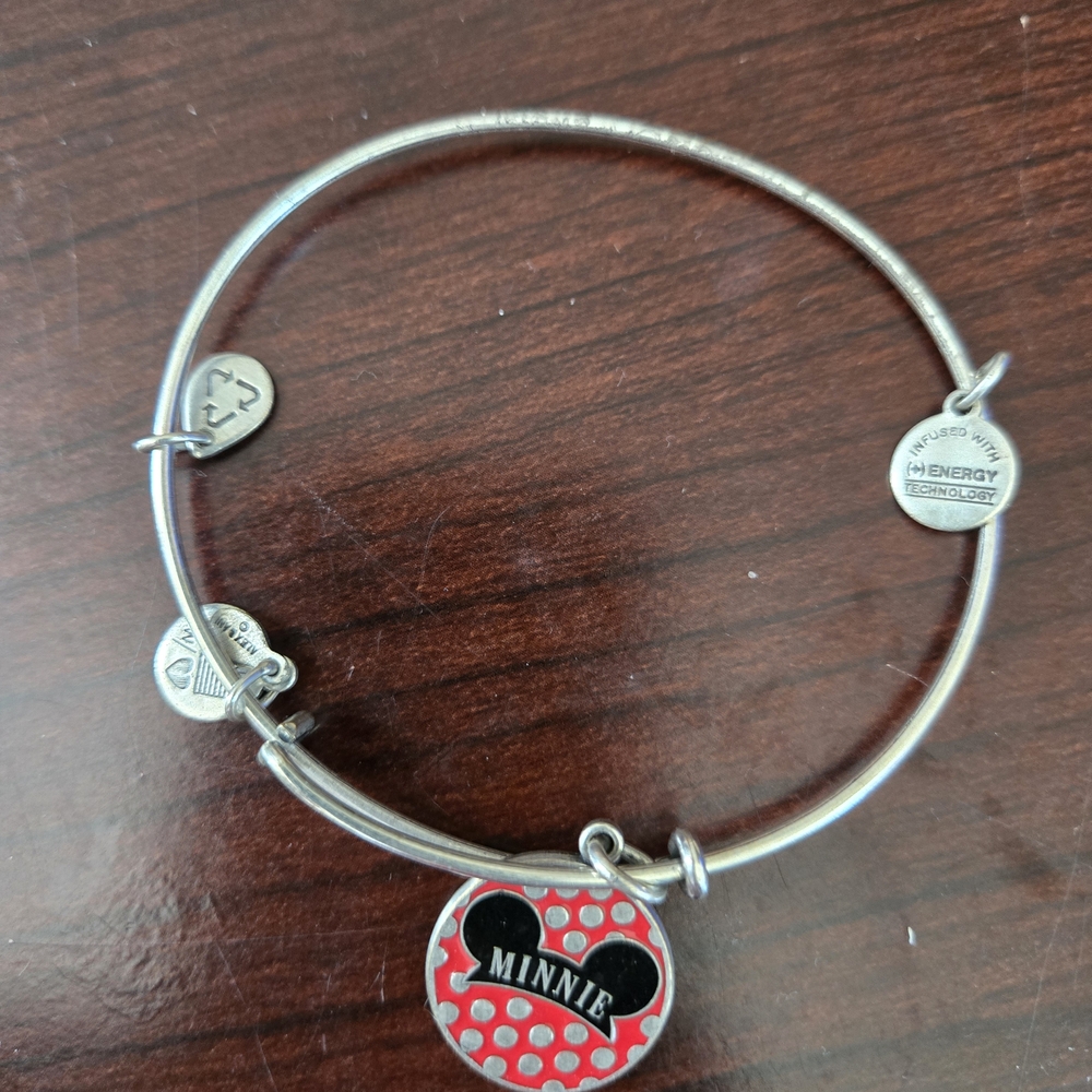 Alex and Ani Silver and Red Charm Bracelet